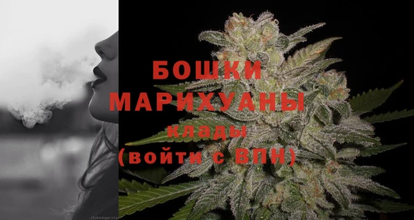 мдпв Протвино