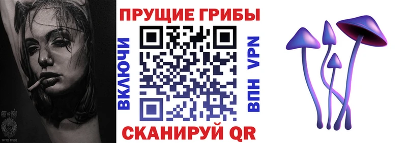 Галлюциногенные грибы прущие грибы  даркнет сайт  нарко площадка формула  Усть-Кут 